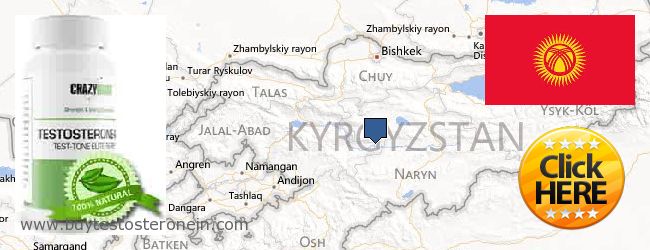 Gdzie kupić Testosterone w Internecie Kyrgyzstan